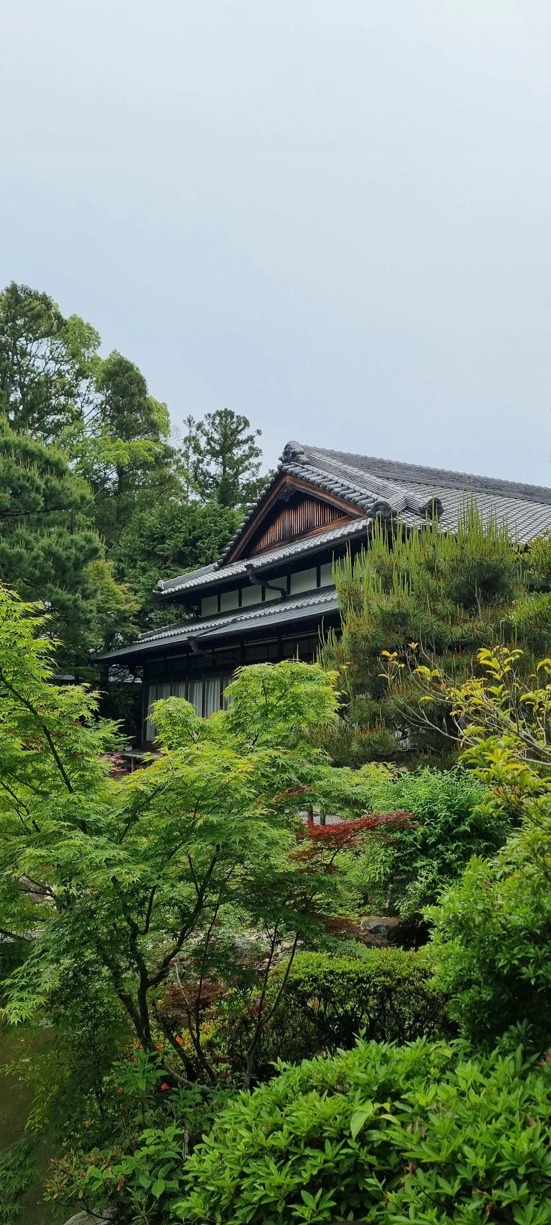 A tiled-roof house tucked among the greenery of a Kyoto garden