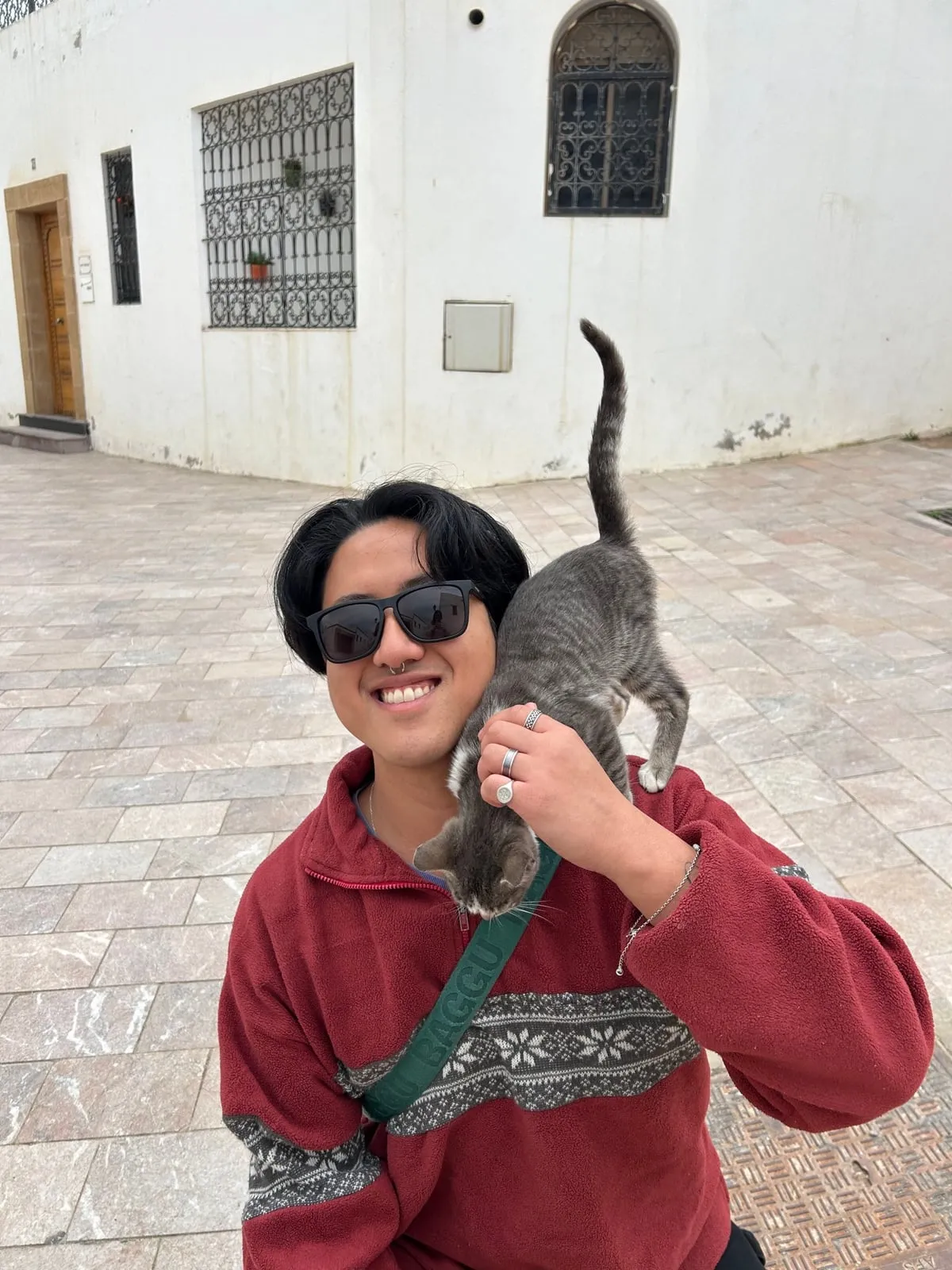 Dan holding a gray tabby cat on his shoulder